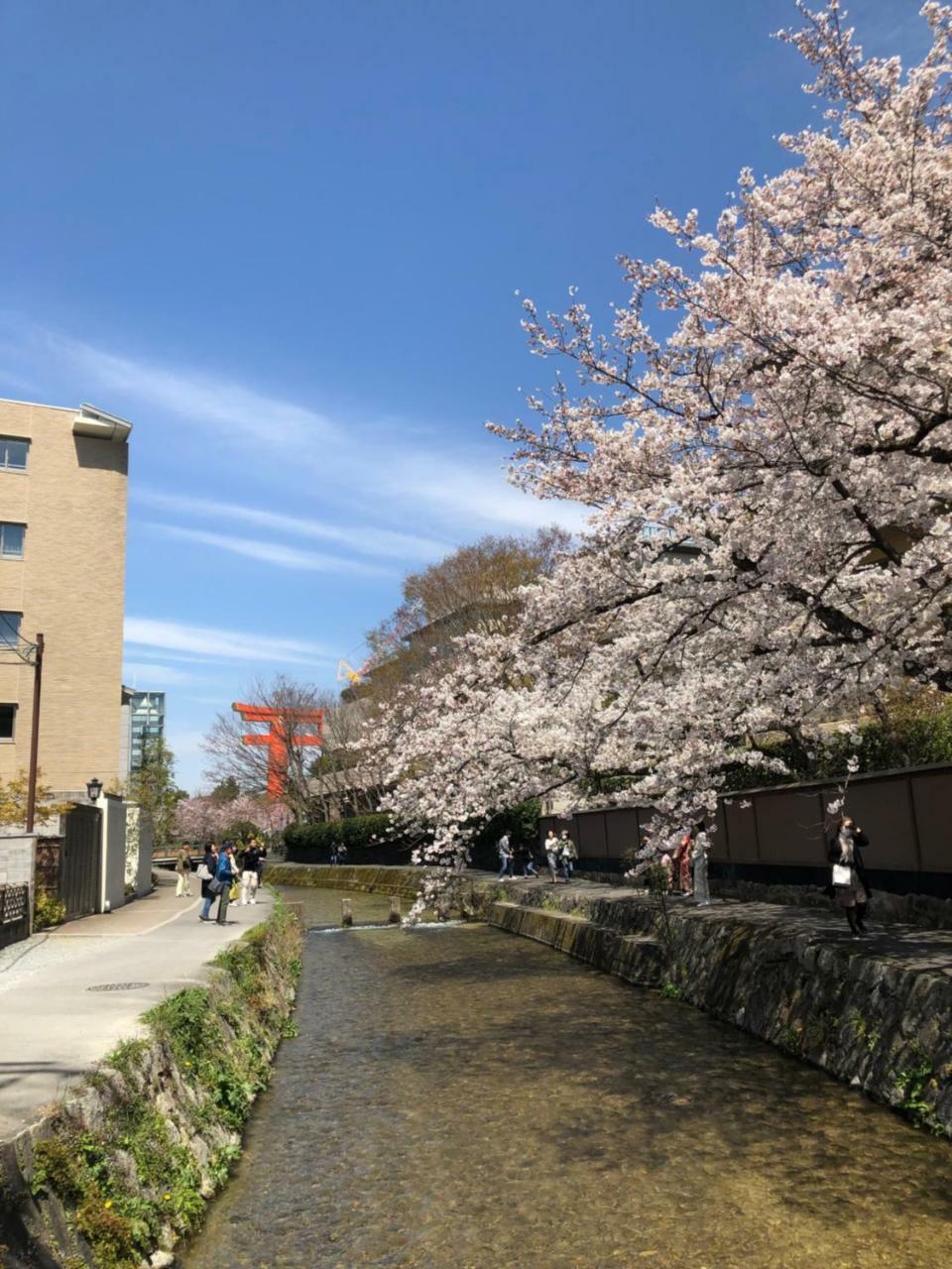 Rinn Heian Shirakawa Kjóto Exteriér fotografie